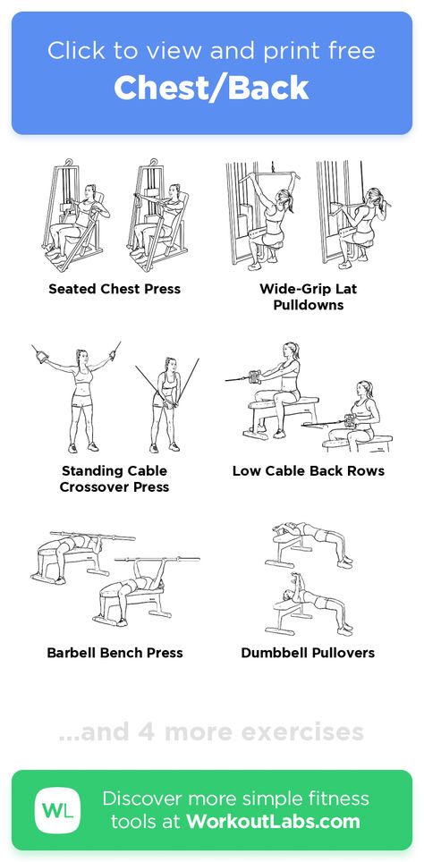 Arms Chest Back Workout Gym, Chest Back And Bicep Workout, Printable Back Workout, Chest Shoulder Workout For Women, Chest And Back Workout Women Gym, Chest And Back Exercises, Back And Chest Workout Gym, Chest And Shoulder Workout Women, Chest Day Workout Gym Women