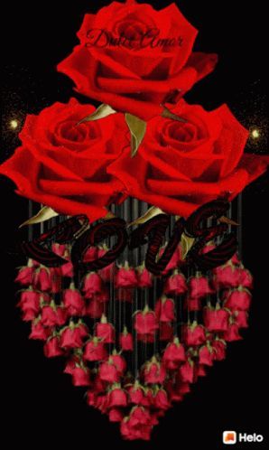 Love Roses GIF - Love Roses Heart - Discover & Share GIFs Roses Gif, Red Roses Wallpaper, Rose Belle, Beautiful Love Images, Rose Flower Wallpaper, Good Morning Flowers Gif, Beautiful Red Roses, Flowers Gif, Rose Images