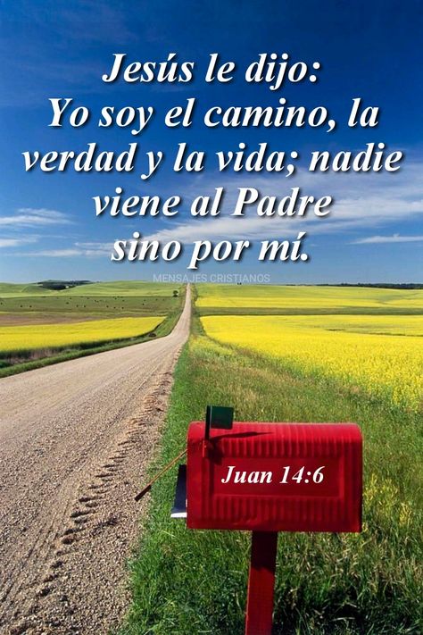 Juan 14:6  #versículodeldía #versículosbíblicos #citabíblica #versículodiario #palabradedios #citas #god #versículos #biblia #dios #cristo #imágenescristianas #frasescristianas #bible #versículodehoy #citasbíblicas #jesus  #mensajescristianos In God We Trust, Abba, Bible, Jesus, Valentines, Makeup, Quotes, Make Up, Valentine's Day