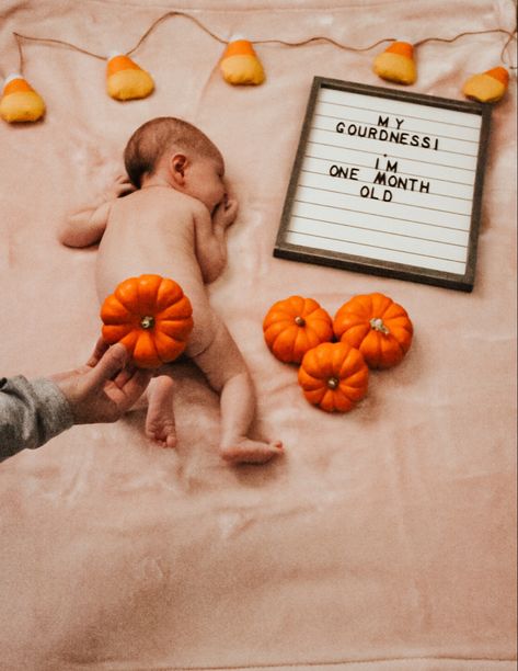 Halloween Baby Pictures, Fall Baby Photos, Fall Baby Pictures, Halloween Fotos, Baby Milestones Pictures, Monthly Baby Pictures, Baby Milestone Photos, Monthly Baby Photos, Milestone Pictures