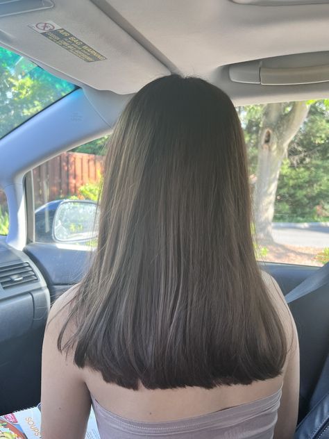 U Shape Short Haircut, Medium Length Haircut Chocolate Brown, U Shaped Haircut Front View, Haircut Ideas No Layers, Simple Straight Haircut, Shoulder Length Brunette Hair Straight, Short V Cut Hair With Layers, Haircut Without Layers, Medium Hair Length Straight