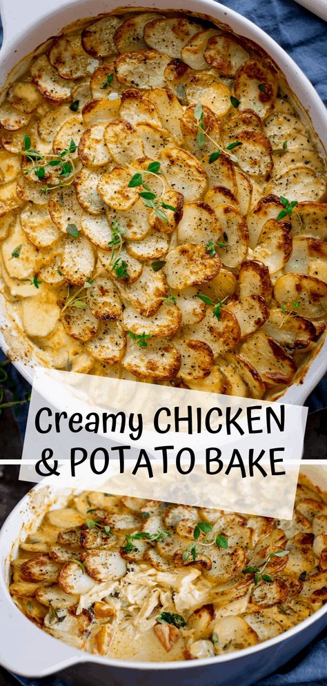 This Creamy Chicken and Potato Bake with extra veggies is a whole meal in one dish! Kind of like a creamy chicken, carrot and spinach casserole, topped with potato gratin! #potatogratin #onepotmeal #creamychicken #chickencasserole Creamy Chicken Dinner, Chicken Potato Casserole, Baked Chicken Casserole, Chicken Potato Bake, Creamy Chicken Casserole, Chicken And Potato, Spinach Casserole, Potato Bake, Potatoe Casserole Recipes