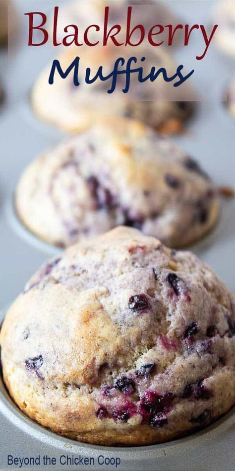 Jumbo Blackberry Muffins, Fresh Blackberry Recipes Easy, Easy Blackberry Dessert, Blackberry Bread Recipe, Blackberry Oatmeal Muffins, Marionberry Muffins, Blackberry Breakfast Recipes, Unique Muffins, Frozen Blackberry Recipes