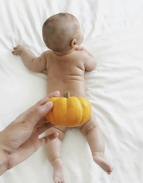 Photoshoot Ideas For Boys, Baby Fall Photoshoot, Baby Pumpkin Pictures, Fall Newborn Pictures, Halloween Baby Pictures, Fall Baby Photos, Fall Baby Pictures, Fall Photoshoot Ideas, Autumn Pictures