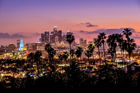 Ironic Downtown Los Angeles Palm Tree lined skyline photographed at dusk showcasing all of the city's glowing lights.  Title  "LA Vice"  Photo by: Aron Kearney Select from Print, Canvas, Metal Print, or Framed Print using the drop-down menus above. Custom Sizes Available: Contact me for a quote. Option Details: *Photo Paper Prints: Professionally printed on archival lustre photo paper with a lifespan of over 100 years. *Canvas Prints: Printed directly onto canvas and stretched over a 1.25" woode Macbook Wallpaper Los Angeles, Los Angeles Laptop Wallpaper, La Night Aesthetic, Los Angeles Aesthetic Night, La Palm Trees, Los Angeles Palm Trees, Los Angeles At Night, Los Angeles Wallpaper, Los Angeles Night