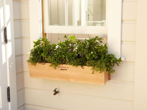 14 Simply Stunning Summer Window Boxes | HGTV Box Herb Garden, Herb Window Box, Window Box Herb Garden, Herb Garden Window, Herb Window, Window Herb Garden, Herb Container, Herb Garden Pots, Window Box Garden