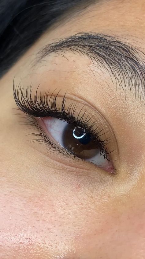 Eyelash Extension Styles, Extension Styles, Eyelash Lift And Tint, Natural Fake Eyelashes, Lashes Fake Eyelashes, Classic Lashes, Wispy Eyelashes, Lashes Extensions, Cat Eye Lash