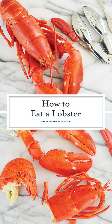 Live Lobster, Lobster Recipes Tail, How To Cook Liver, New Years Dinner, How To Cook Lobster, Lobster Meat, Lobster Recipes, Simple Health, Did You Eat