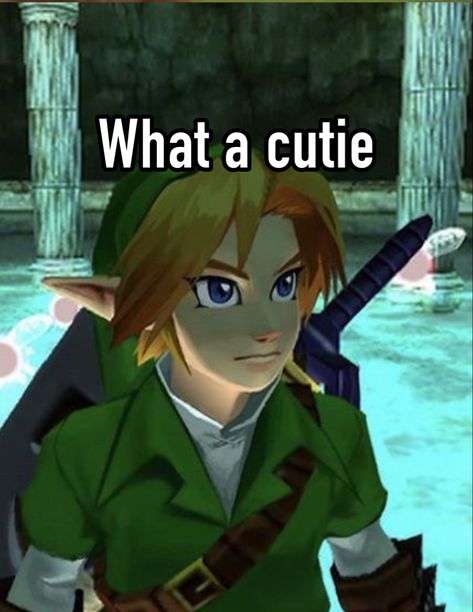 Link Profile Picture, Link Icon Zelda, Link Zelda Pfp, Zelda Icon, Link Pfp, Hero Of Time, Oot Link, Link Icon, Link Botw