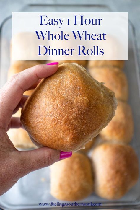 1 Hour Wheat Dinner Rolls are a quick way to get homemade dinner rolls on the table in 1 hour. Soft and fluffy, you're going to love these wheat dinner rolls! Dinner Rolls Recipe Homemade, Whole Wheat Dinner Rolls, Wheat Dinner Rolls, Wheat Rolls, Whole Wheat Rolls, Quick Rolls, Frozen Dinner Rolls, Frozen Rolls, Wheat Recipes