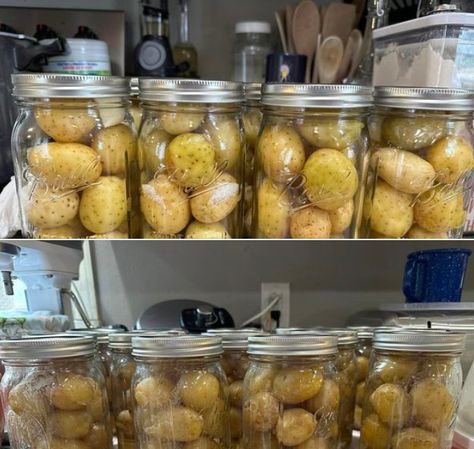 Dry Pack Canning Potatoes, Dry Canning Potatoes Pressure Cooker, Pressure Canning Potatoes, Canning Potatoes Pressure Cooker, Dry Canning Potatoes, Canning Butter, Spicy Pickled Onions, Canning Veggies, Dry Canning