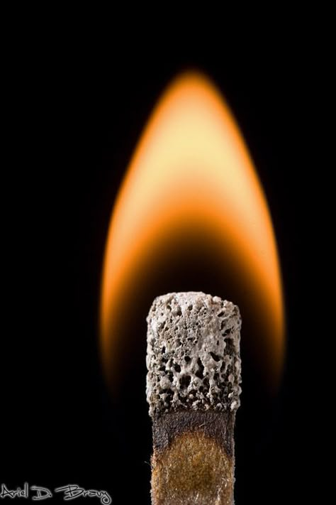 Matches Photography, Match Photography, Energy Photography, Power Photography, Macro Photography Tips, Foto Macro, Micro Photography, John Donne, Heat Energy