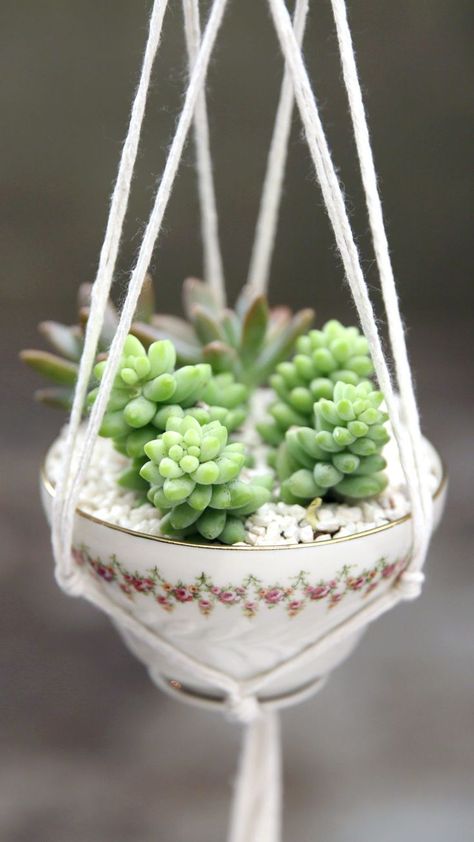 Have a spare tea cup lying around? With a little string and just 10 knots, you can turn it into a stunning planter. Diy Tea Cup, Tea Cup Planter, Motif Kait, Pot Gantung, Diy Para A Casa, Hanging Plants Diy, Tea Display, Diy Tea, Macrame Plant Hanger Tutorial