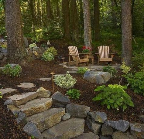 Landscaping Center Of Circle Drive, Cabin In The Woods Landscaping Ideas, Backyard Rocks, Forest Landscaping, Wooded Backyard Landscape, Grass Alternatives, Wooded Backyard, Landscape Luxury, Terraced Backyard