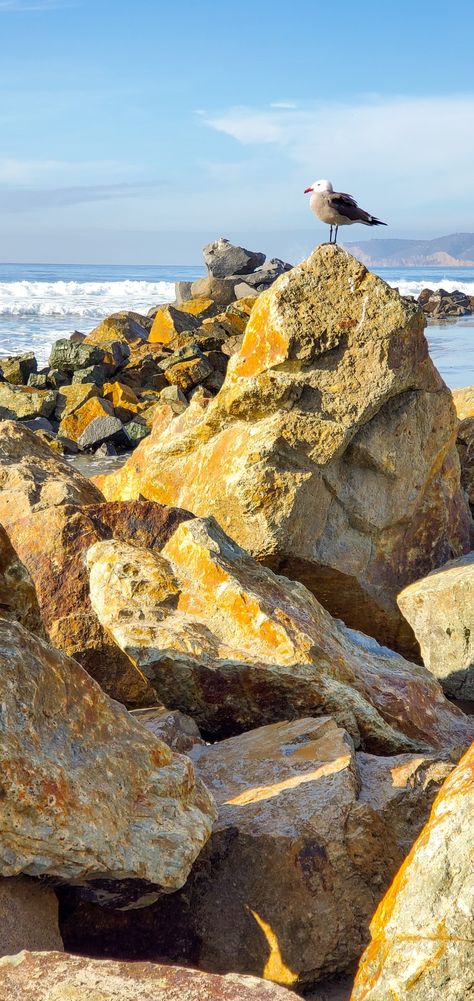 Mermaid Environment, Rocky Beach Aesthetic, Tubbo Aesthetic, Rocky Sea Shore, Rocky Background, Dsmp Aesthetic, Shore Aesthetic, 3d Beach Art, Watercolour Reference