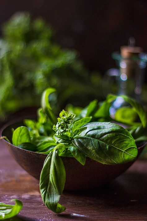 Basils...  #foodphotography #foodstyling #stilllife #photography #leaves #basil #green #ingredients Fresh Vegetables Photography, Basil Photography, Basil Aesthetic, Herbs Photography, Vegetable Photography, Herb Photography, Stilllife Photography, Ingredients Photography, Vegetables Photography