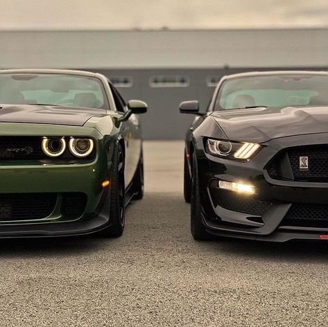 Mustang Car Duo, Shelby Mustang Gt500, Mustang Gt500, New Luxury Cars, Pimped Out Cars, Lux Cars, Ford Shelby, Ford Mustang Shelby, Mustang Cars