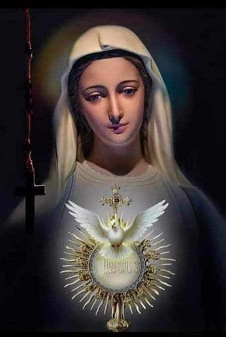 Mary Jesus Mother, Mother Mary Pictures, مريم العذراء, Santi Cattolici, Jesus Mother, Mother Mary Images, Blessed Mary, Night Blessings, Images Of Mary