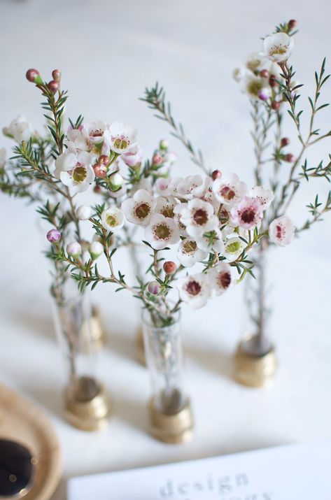 Quick DIY: Test Tube Bolt Vases Test Tube Crafts, Test Tube Holder, Test Tube Vase, Quick Diy, Diy Vase, Diy Planters, Fall Table, Test Tube, Diy Inspiration