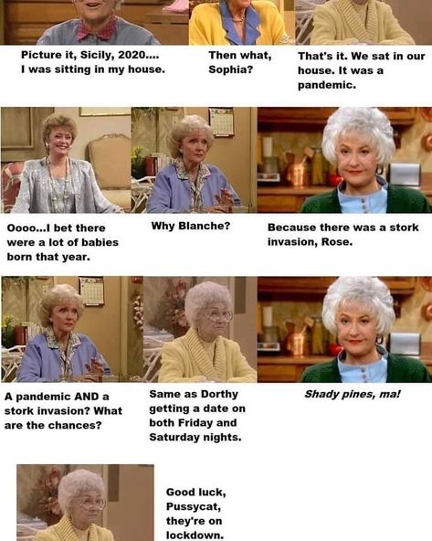 BodyGarbage Handmade Soaps on Instagram: “Happy 420!!! A little morning humor 🤣🤣🤣 —————————————- —————————————- Golden Girls parody! —————————————- Who was your favorite member?…” Golden Girls Memes, Golden Girls Humor, Golden Girls Quotes, Girls Memes, Diy Haircut, The Golden Girls, The Crafts, Fastest Man, Get It Girl