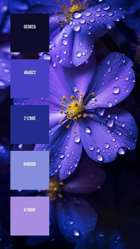 Colors:
0E0B2A
4840C2
212B8E
848DDB
A78BDF Petals Drawing, Natural Portrait, Pantone Color Chart, Color Theory Art, Deep Winter Colors, Purple Color Palettes, Hex Color Palette, Winter Wedding Colors, Color Palette Bright