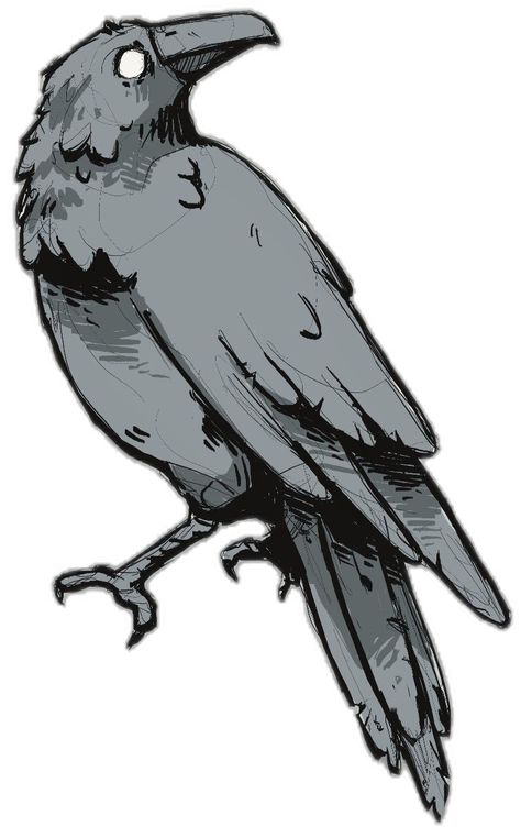 Crow Art Reference, Crow Holding Something, Cartoon Crow Tattoo, Scary Bird Drawing, Simple Crow Drawing, How To Draw A Raven, Crow Drawing Reference, Bird Reference Drawing, Raven Drawing Simple