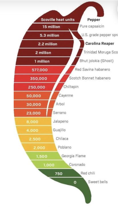 Growing Jalapenos, Bhut Jolokia, Carolina Reaper, Condiment Recipes, Scotch Bonnet, Social Post, Conquer The World, Easy Cinnamon, Chilli Pepper