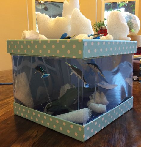 Narwhal Arctic diorama! Narwhal Habitat Project, Attic Tundra Biome, Narwhal School Project, Arctic Ecosystem Project, Tundra Biome Project Dioramas, Arctic Habitat Diorama, Artic Diorama For Kids, Antarctica Diorama, Arctic Diorama For Kids