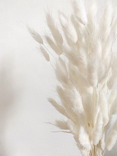 Dried Flowers Wedding, Garden Shears, Pampas Grass Decor, Bunny Tails, Aesthetic White, Wedding Cake Decorations, Bunny Tail, Post Instagram, White Wallpaper