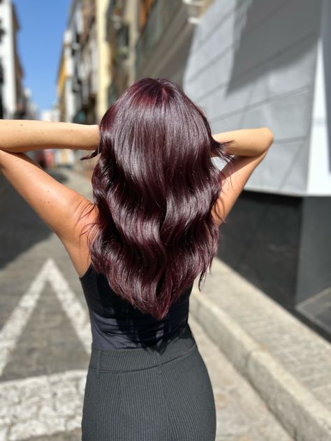 Hair inspo for fall. Dark red tint hair Red Tint Hair, Red Violet Hair, Hair Tint, Violet Hair, Dark Red Hair, Red Violet, Cherry Red, Dark Hair, Dark Red