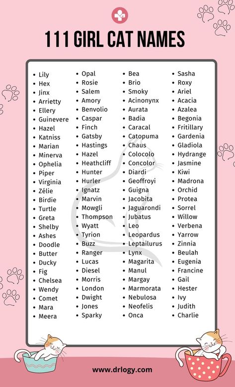 Girl Cat Names With Meaning Female Cat Names Unique, Female Pet Names, Girl Pet Names, Kitten Names Unique, Kitten Names Girl, Girl Cat Names, Unique Cat Names, Cute Pet Names, Dog Names Unique