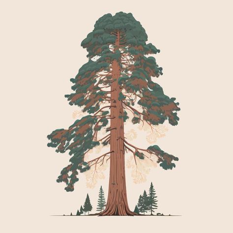 Red Wood Tree Drawing, Sequoia Tree Art, Giant Sequoia Tree Tattoo, Sequoia Tree Tattoo Simple, Sequoia Drawing, Fir Tree Drawings, Redwood Tree Art, Sequoia Tree Drawing, Redwood Illustration