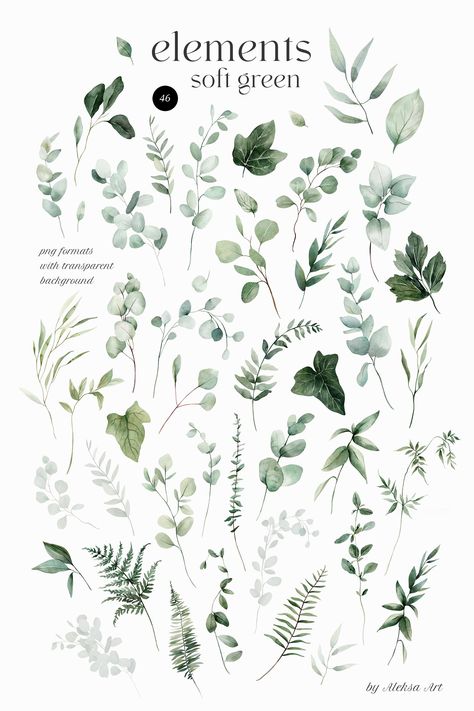 Wallpapers Birthday, Green Floral Watercolor, Penelope Bridgerton, Watercolor Foliage, Watercolor Leaf, Flower Illustrations, Ivy Leaves, Floral Aesthetic, Simple Line Drawings