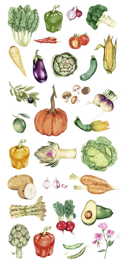 Collection of colorful vegetable illustration | Premium Vector Illustration - rawpixel Christmas Vegetables Side Dishes, Vegetables Drawing, Christmas Vegetables, Vegetable Drawing, Vegetable Painting, Kids Vegetables, Vegetable Illustration, Colorful Vegetables, Hand Images