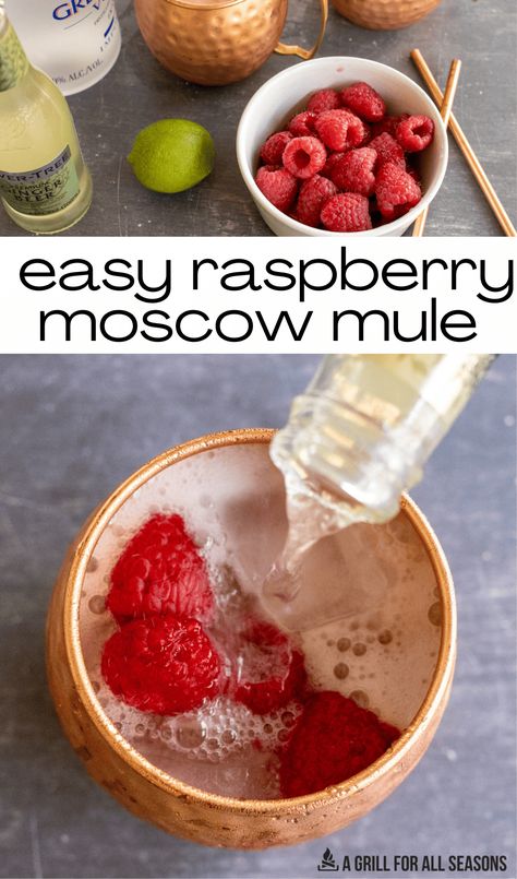 Kick up your normal Moscow mule recipe & make these Raspberry Mules instead. Vodka, ginger beer, & fresh raspberries are a perfect combo! How To Make A Mule Drink, Pink Moscow Mule, Huckleberry Moscow Mule Recipe, Raspberry Mule Drink Recipes, Raspberry Moscow Mule Recipe, London Mule Recipe, Mule Recipe Vodka, Vodka Mule Recipe, Raspberry Mule