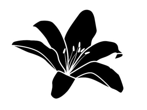 Lily Flower Silhouette, Lily Vector Flower, Flower Shiloutte, Black Silhouette Tattoos, Black And White Design Graphic, Silouette Tattoo Black, Graphic Drawing Black And White, Black Flower Drawing, Silhouette Images Free