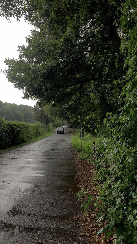 Road Snap, Weather Wallpaper, London Weather, Dark Naturalism, Grey Aesthetic, Rainy Day Aesthetic, Cloudy Weather, Forest Plants, Dark Nature Aesthetic