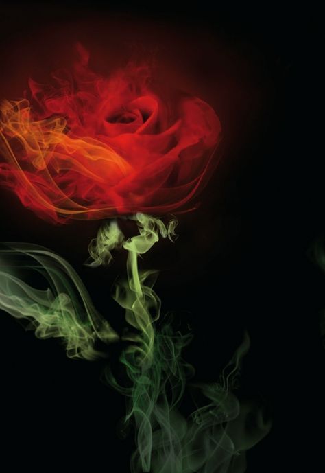 Smoke rose, artist unknown Fire Art, Colorful Roses, Fractal Art, Red Rose, The Words, Beauty And The Beast, Beautiful Art, Fantasy Art, Art Photography