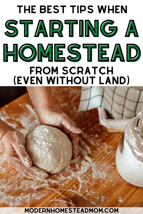 13 must read tips for the beginner homesteader. Start your urban homestead today even without land. How to start Homesteading in an apartment. How to start your homestead garden. Homesteading for Beginners- Guide to Starting a Homestead. First Steps To Homesteading, How To Be A Homesteader, How To Start A Small Homestead, Homesteading Without Land, Things To Start Making From Scratch, Homestead Needs, How To Start Homesteading Slowly, Homesteading Must Haves, Homestead Grocery List