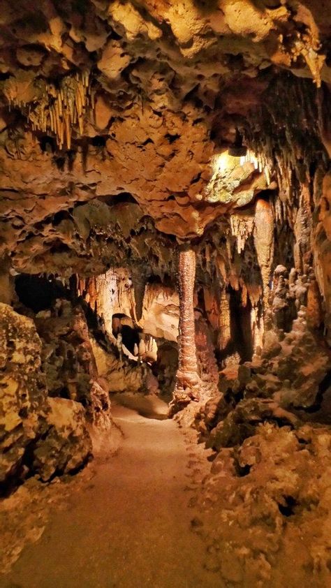 Florida Caverns, Florida Caverns State Park, Letchworth State Park, Cave System, Natural Cave, Florida State Parks, Florida Springs, Matka Natura, Cave Diving