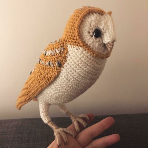 A Barn Owl Owl Crochet, Crochet Owls, Owl Crochet Patterns, Crochet Octopus, Crochet Owl, Crochet Sunflower, Owl Patterns, Fun Crochet Projects, A Barn