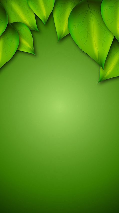 Beautiful Green Background, Green Background Wallpapers, Green Design Background, Frutiger Eco, Background Images Green, Green Background Design, Leaf Green Color, Green Background Images, Green Color Background