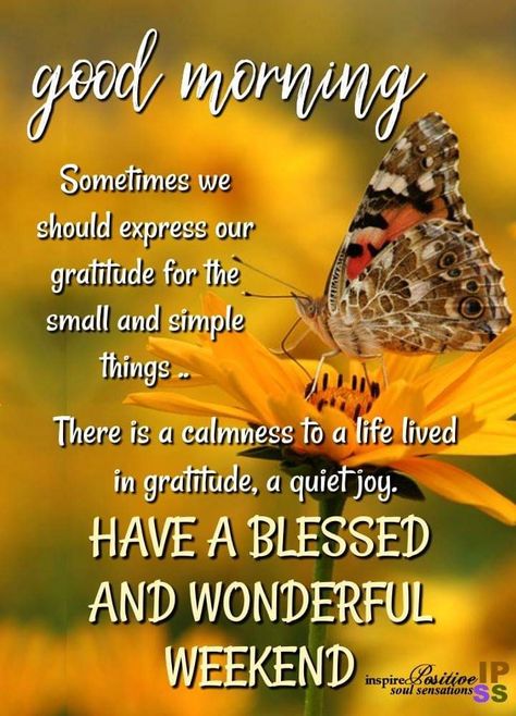 “Gratitude turns what we have into enough. Joy is the simplest form of gratitude.” #beGrateful #thesimplethings Have A Great Weekend Quotes Inspiration, Gm Friday, Happy Friday Weekend, Morning Verses, Weekend Blessings, Enjoy Weekend, Weekend Messages, Blessed Weekend, Weekend Greetings