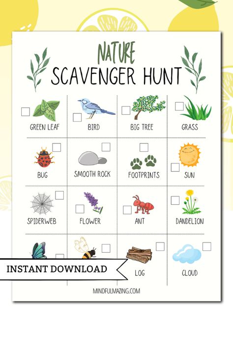 Outdoor Scavenger Hunt Clues, Toddler Scavenger Hunt, Nature Scavenger Hunt For Kids, Nature Walk Scavenger Hunt, Camping Scavenger Hunts, Summer Activities For Toddlers, Nature Scavenger Hunt, Perfect Classroom, Nature Hunt