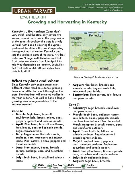 This guide provides key steps and information for everything you need to know about growing and harvesting in Kentucky.  https://files.ufseeds.com/uploads/Kentucky.pdf Gardening In Kentucky, Kentucky Gardening, Kentucky Homestead, Kentucky Garden, When To Transplant Seedlings, Vegetable Planting Calendar, Vegetable Planting Guide, Dreamy Backyard, Vegetable Planting