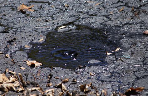 Picnic at the La Brea Tar Pits | The Sage Owl Tar Pit, Black Tar, La Brea Tar Pits, Mc Mods, Helms Deep, Third Date, Simple Lunch, Cowboy Romance, La Brea