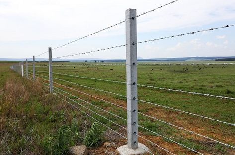 10 Best Farm Fence Ideas - Hello Lidy Farm Fence Diy, Wire Fence Ideas, Barb Wire Fence, Concrete Fencing, Cerca Natural, Concrete Fence Posts, Barbed Wire Fencing, Wire Mesh Fence, Black Fence