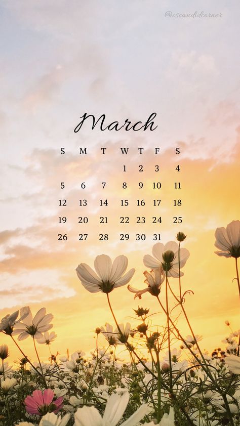 Cute March Calendar 2024, March 2024 Calendar Wallpaper Aesthetic, March Aesthetic Calendar, March Wallpaper Aesthetic 2024, March 2024 Wallpaper, Calendar March 2024, March 2024 Calendar Aesthetic, March 2024 Calendar Wallpaper, Aesthetic March Wallpaper