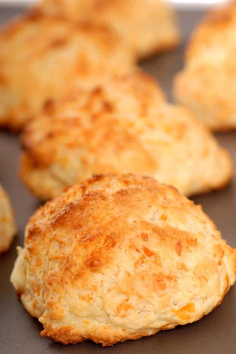 These coconut flour biscuits are soft, fluffy and tender on the outside, you won't believe they need just 4 ingredients! Coconut Flour Biscuits, Maple Ham, Recipes Using Coconut Flour, Jalapeno Cheddar Biscuits, Savory Biscuits, Bacon Biscuits, Fig Preserves, Savory Sides, The Chew Recipes