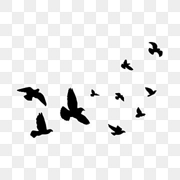 asuka,bayangan hitam,siluet burung terbang,siluet hewan,hitam,siluet hitam,asuka,bayangan hitam Flying Bird Vector, Birds Silhouette, Flying Bird Silhouette, Peace Bird, Seni Arab, Elephant Silhouette, Bird Logo Design, Black And White Birds, Birds In The Sky